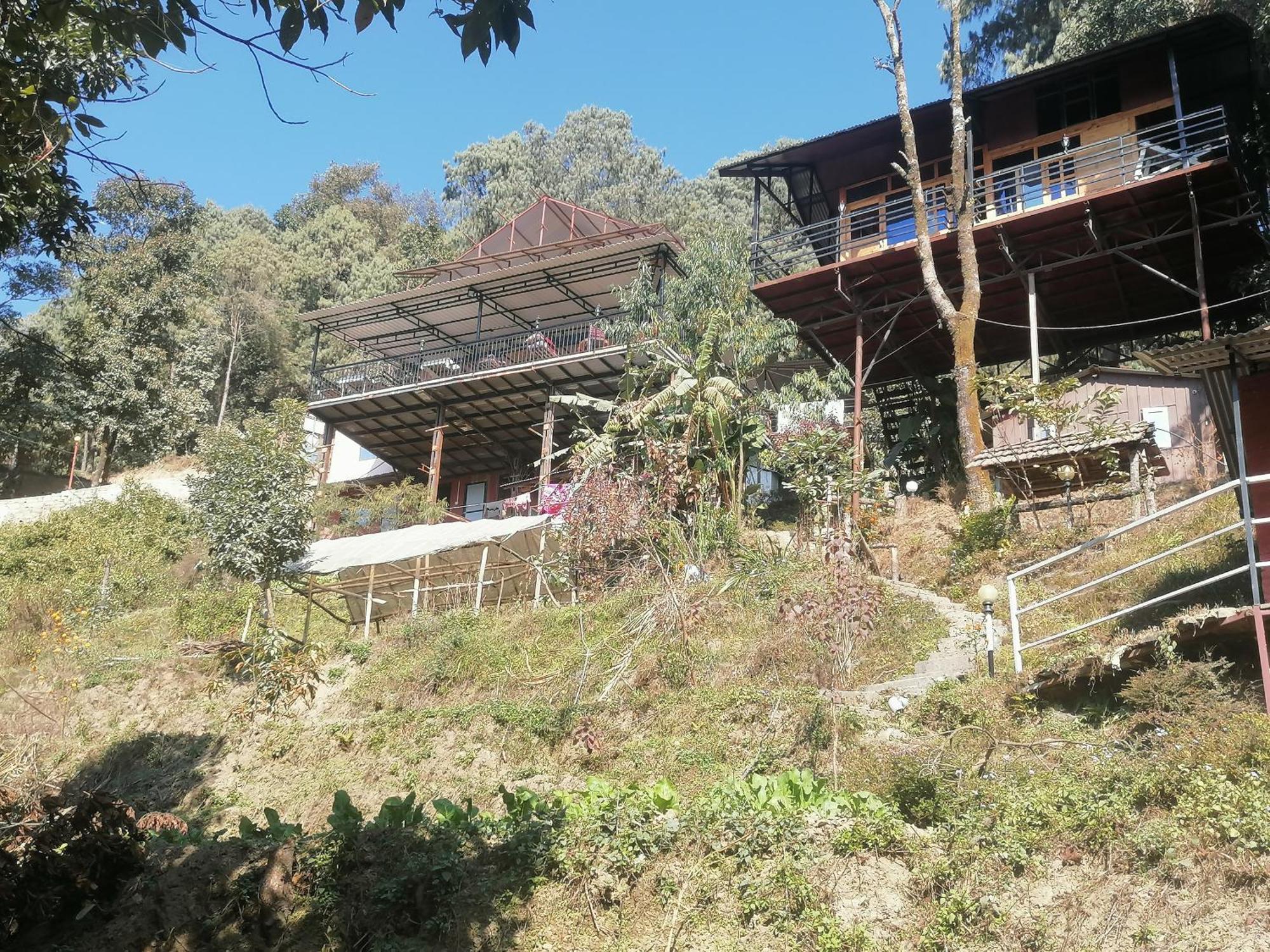 Jungle Crown Organic Homestay Nagarkot Bilik gambar