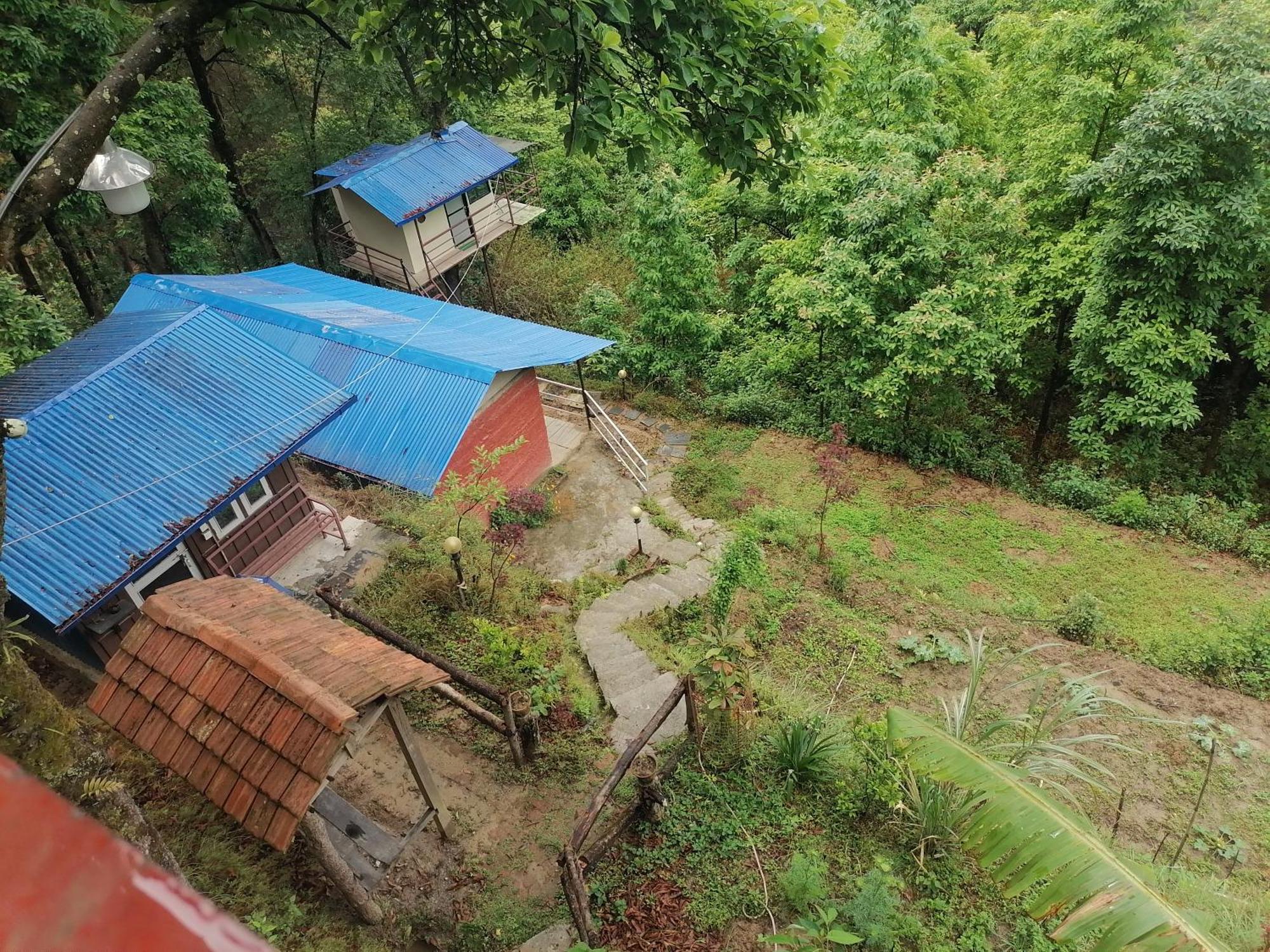 Jungle Crown Organic Homestay Nagarkot Bilik gambar