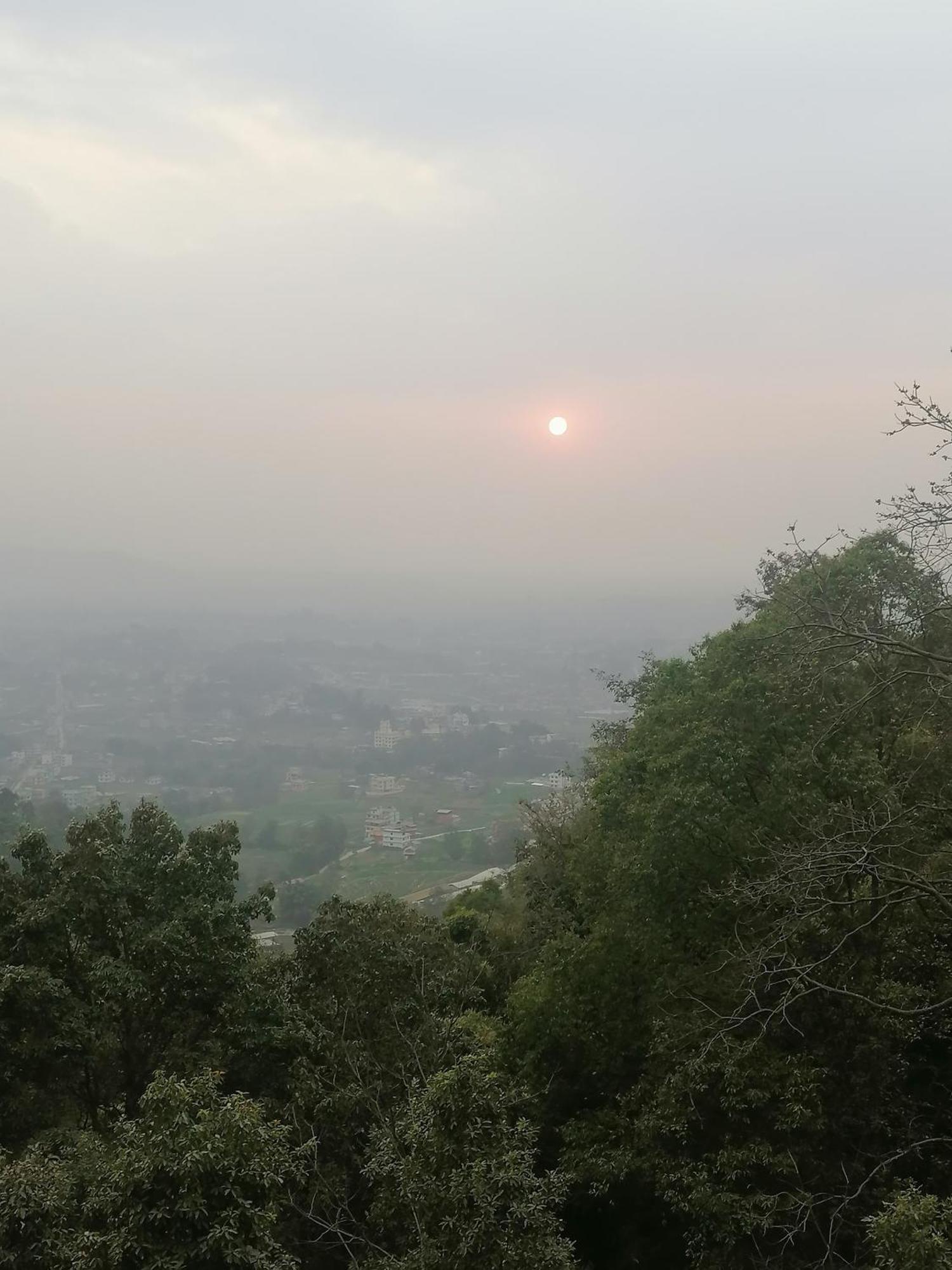 Jungle Crown Organic Homestay Nagarkot Bilik gambar