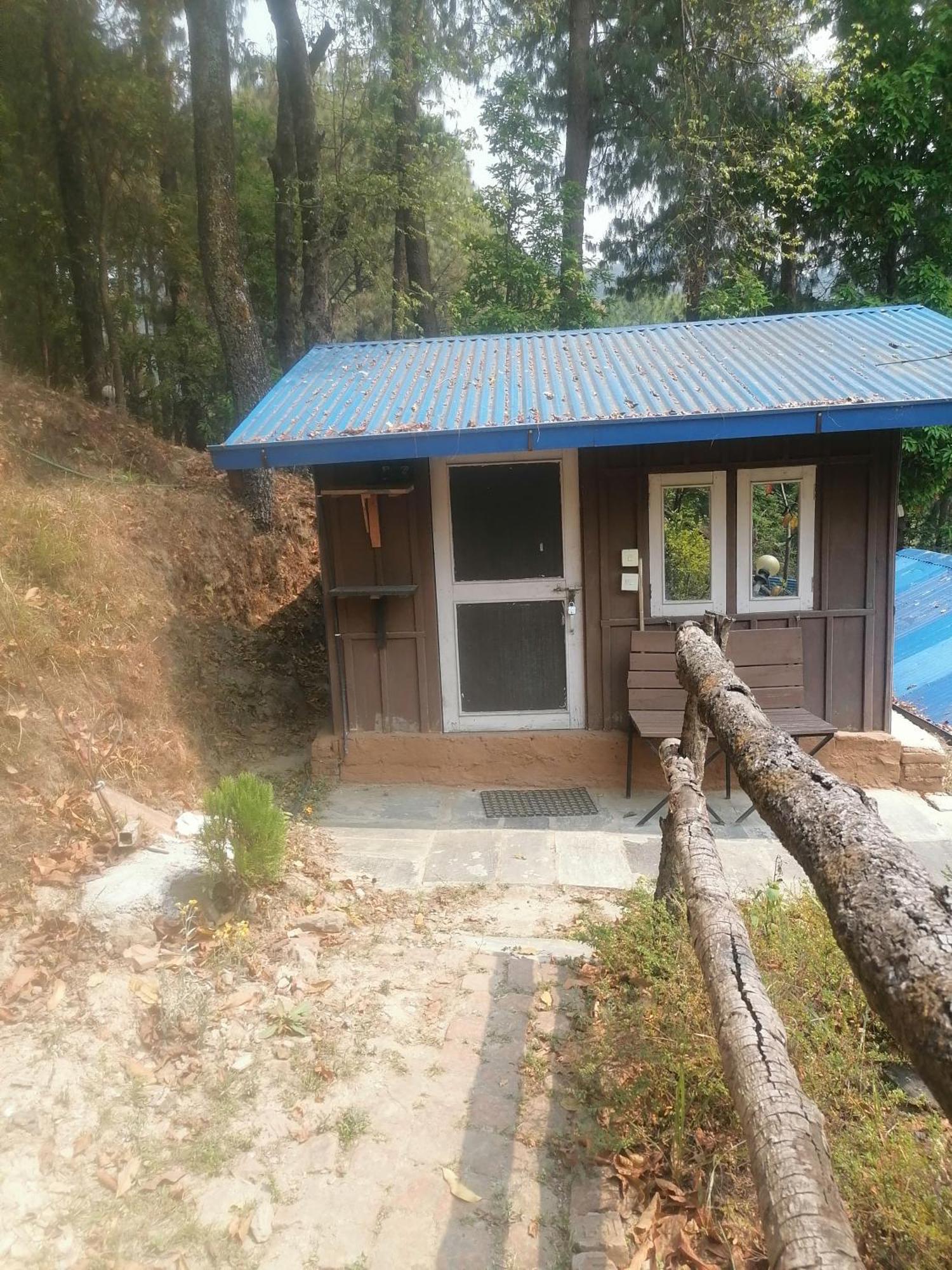 Jungle Crown Organic Homestay Nagarkot Bilik gambar