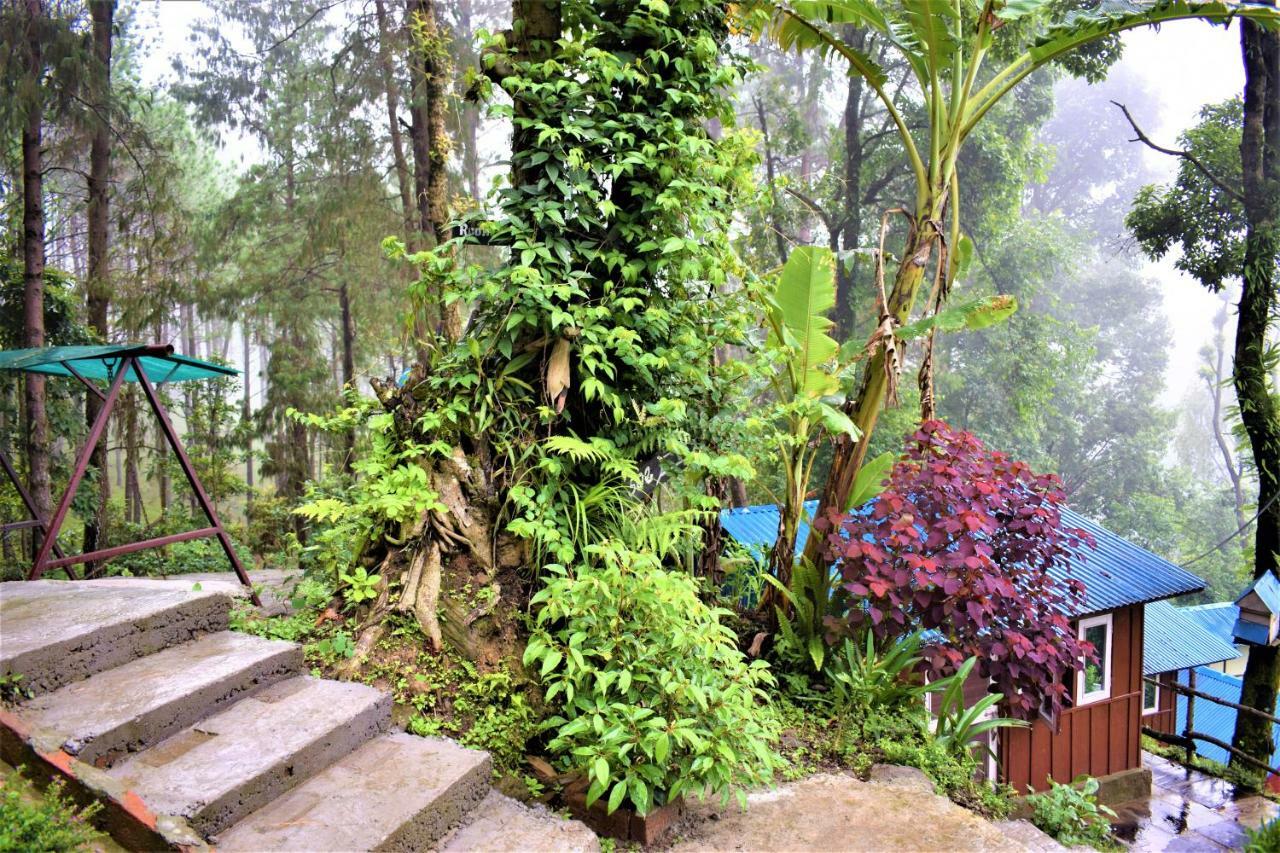 Jungle Crown Organic Homestay Nagarkot Luaran gambar