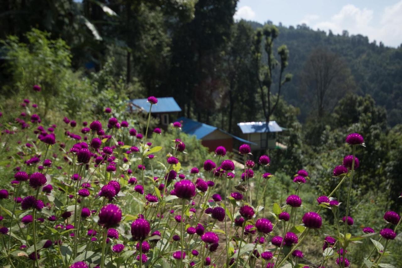 Jungle Crown Organic Homestay Nagarkot Luaran gambar