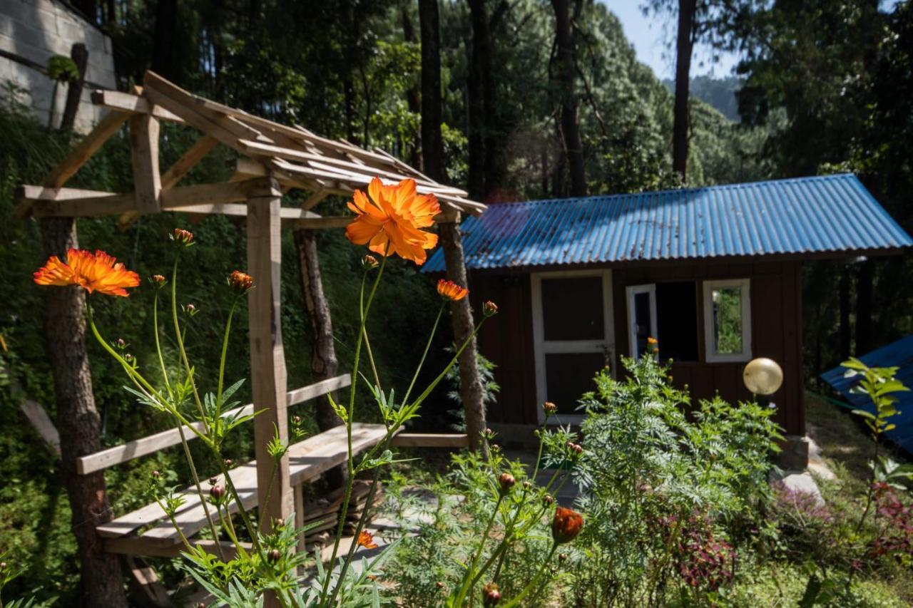 Jungle Crown Organic Homestay Nagarkot Luaran gambar