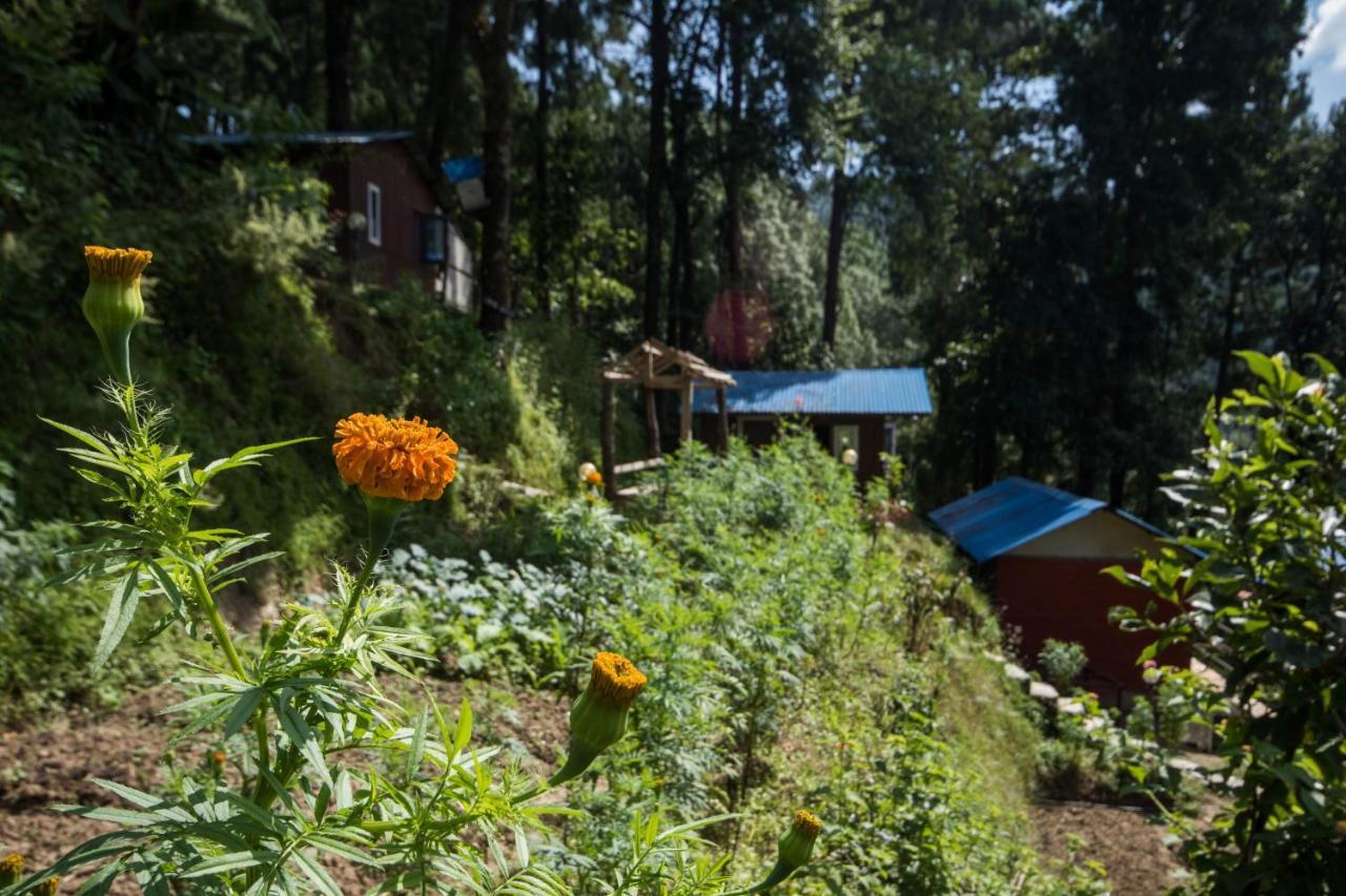Jungle Crown Organic Homestay Nagarkot Luaran gambar